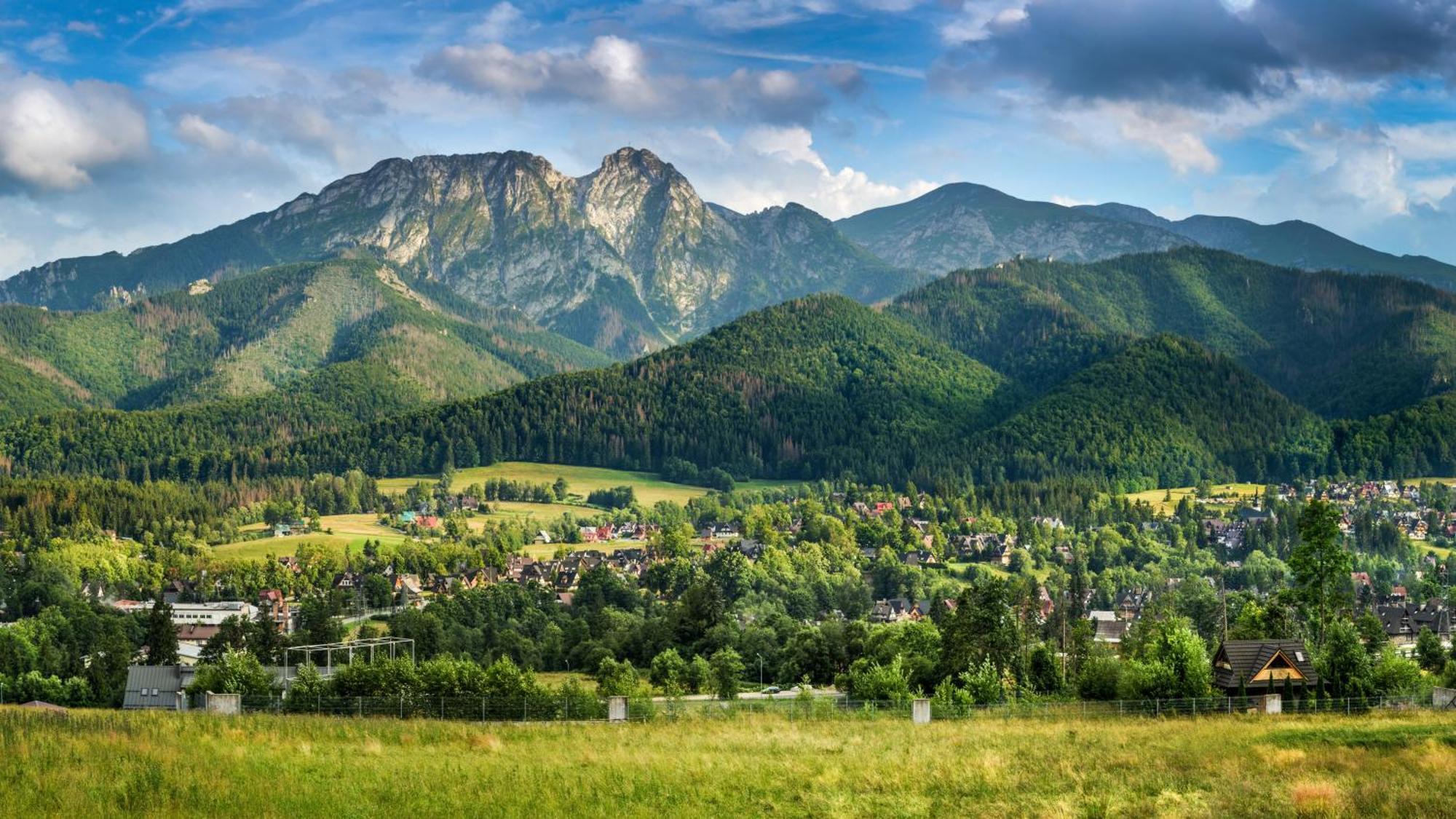 Gorska Osada Lovely Chalets Zakopane Poronin Exteriör bild
